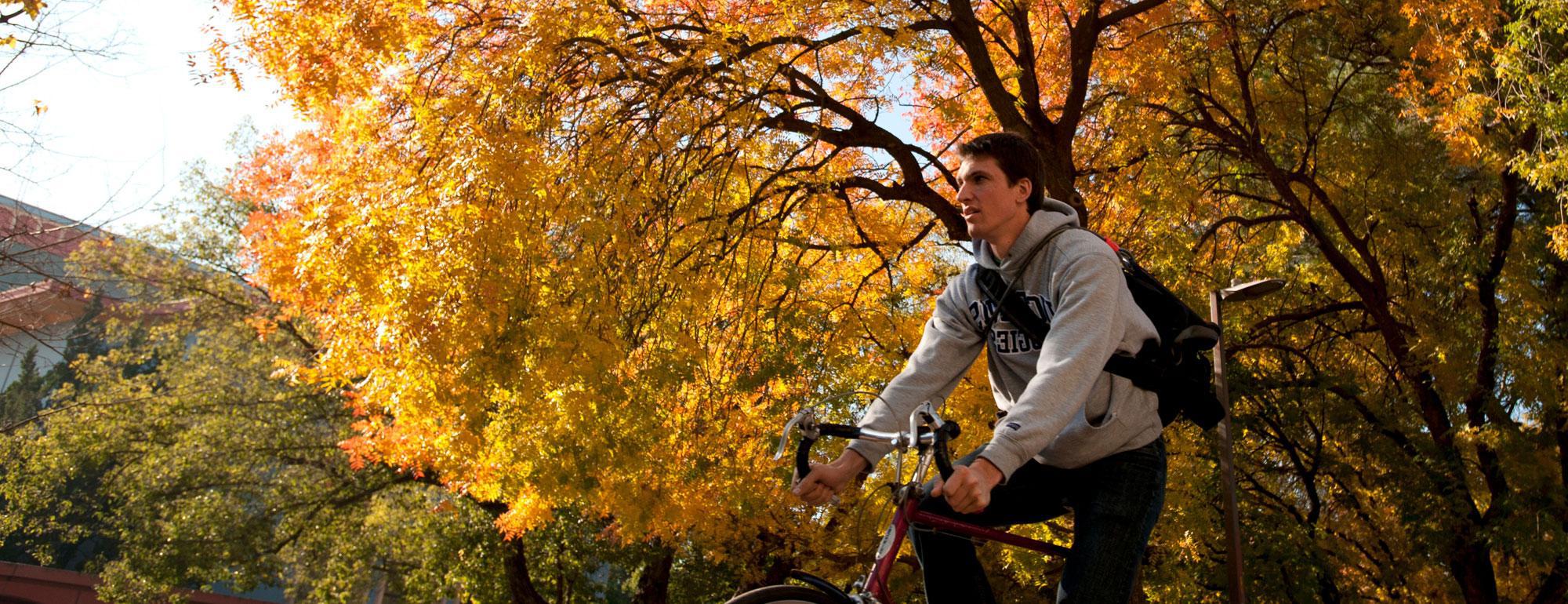 一名男学生在澳门十大电子游戏大全的秋叶下骑自行车