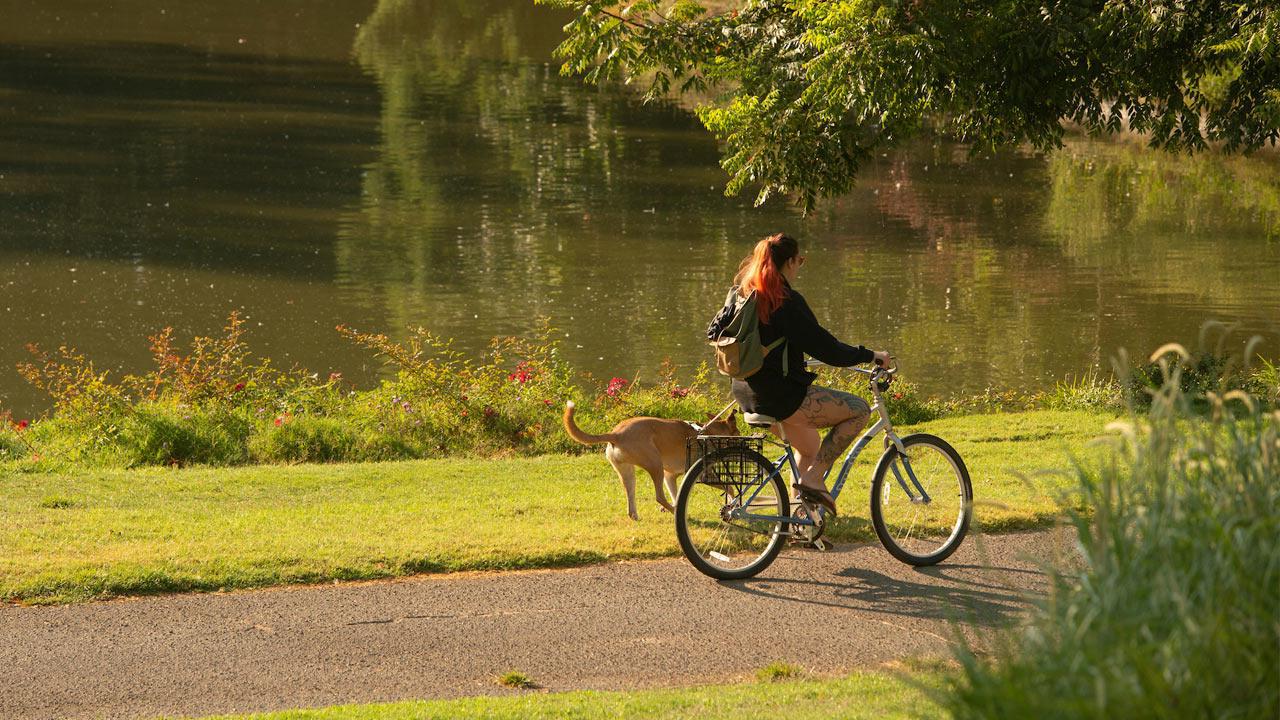 一名学生骑着自行车穿过加州大学戴维斯植物园，她的狗狗在旁边慢跑.