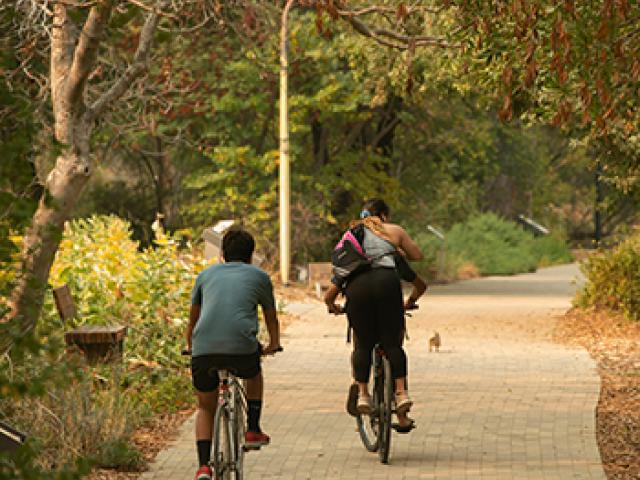 学生们一起沿着加州大学戴维斯植物园骑自行车