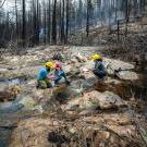 三名研究人员, 跪在小溪边，小溪穿过森林里露出来的岩石, 收集溪流样本,