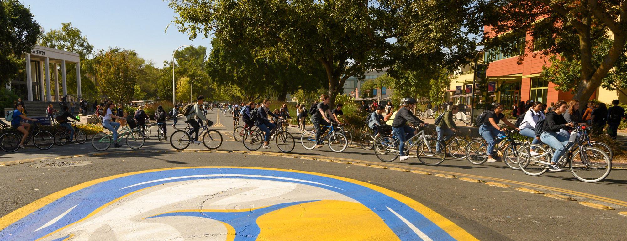 学生们骑着自行车绕着自行车圈