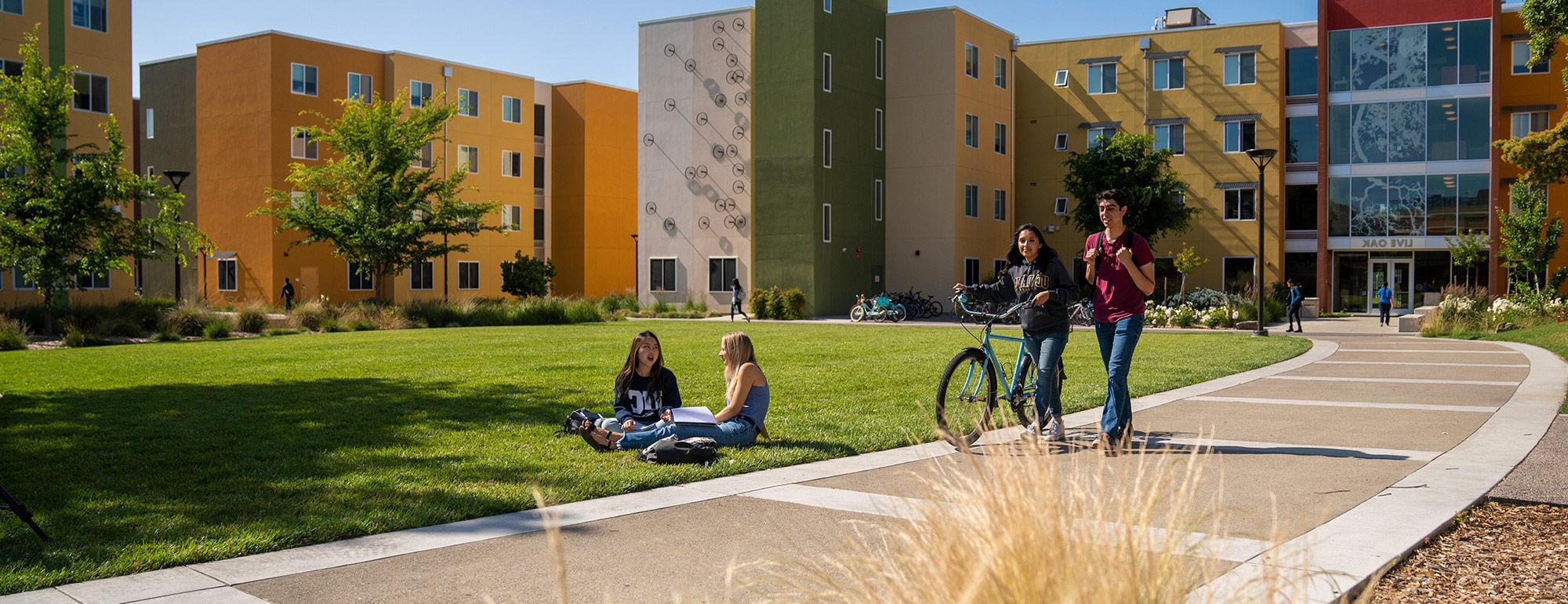 两个学生在骑自行车，另外两个学生坐在宿舍楼前的草地上