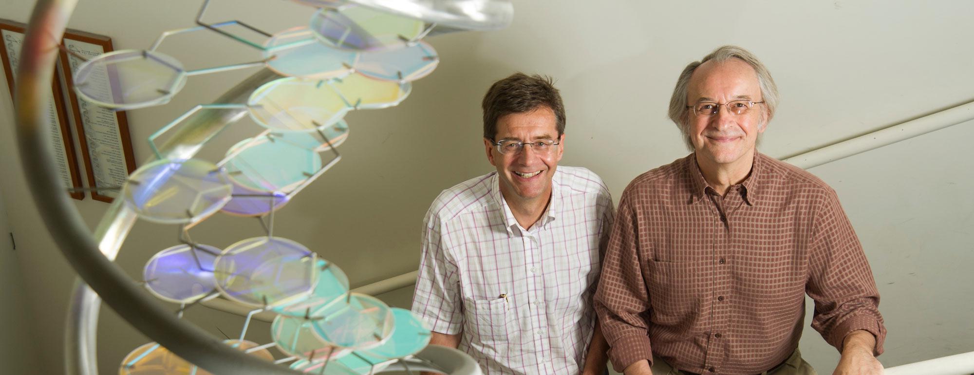 澳门十大电子游戏大全的两位教授在澳门十大电子游戏大全生命科学大楼的一个大型DNA模型旁边摆姿势