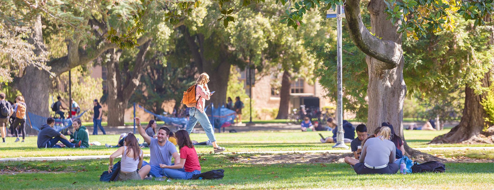 students sitting on the grass outside enjoying the quad