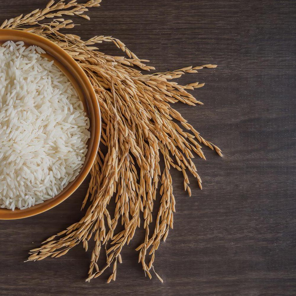 一碗米饭，旁边放着米粒.