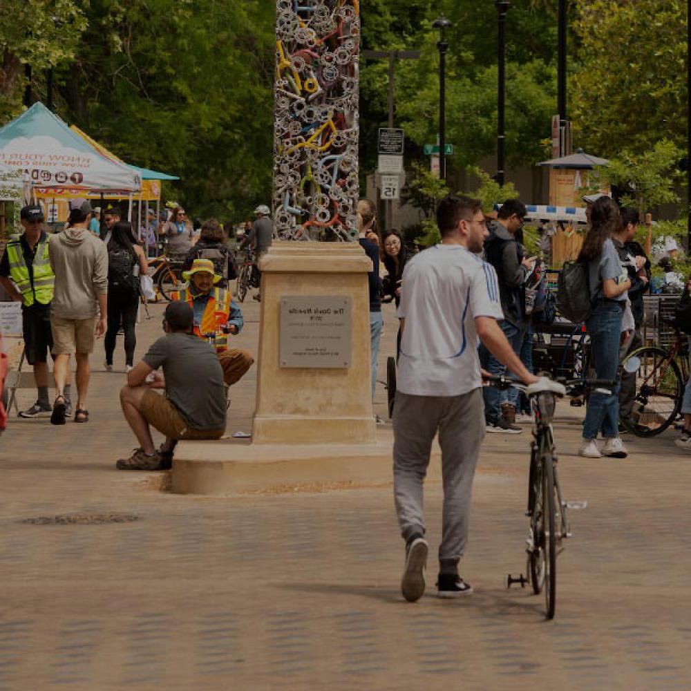 一名学生骑着自行车穿过戴维斯市中心